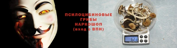 прущая мука Арсеньев